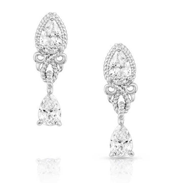 Montana Silversmiths Fiery Ice Charm Earrings