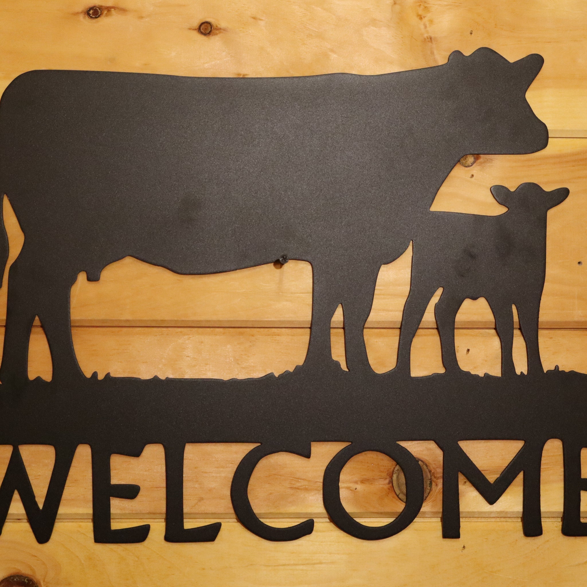 #176 Cow Calf Welcome