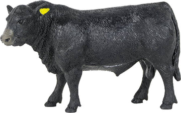 Big Country Angus Bull