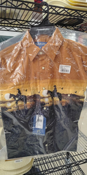 Panhandle Men's Sunset Border LS Snap Shirt